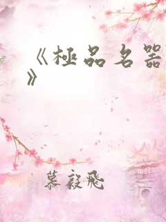 《极品名器系统》