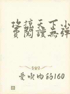 攻掠天下小说免费阅读无弹窗