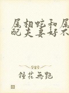 属相蛇和属相蛇配夫妻好不好
