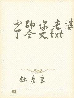 少帅你老婆又跑了全文txt