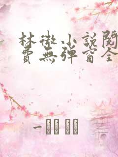 林微小说阅读免费无弹窗全文