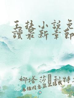王扶小说免费阅读最新章节无弹窗
