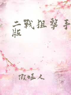二战狙击手中文版