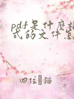 pdf是什么格式的文件怎么打开