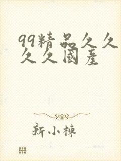 99精品久久久久久国产