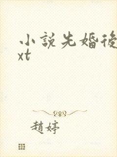 小说先婚后爱txt