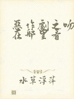 恶作剧之吻可以在哪里看