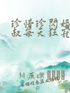 珍惜珍闪婚后大叔每天狂宠我