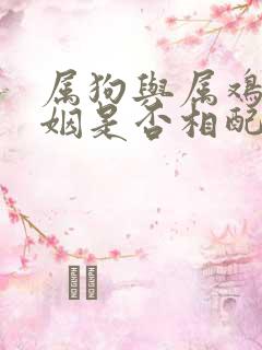 属狗与属鸡的婚姻是否相配