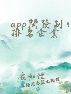 app开发制作排名企业