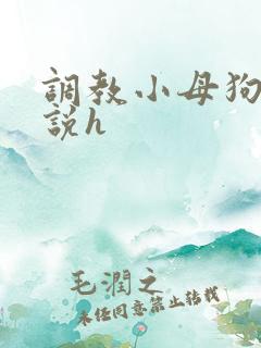 调教小母狗类小说h
