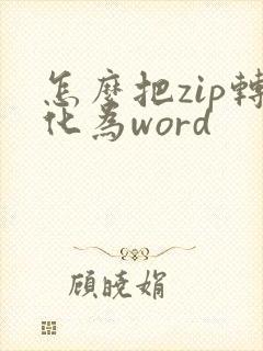 怎么把zip转化为word