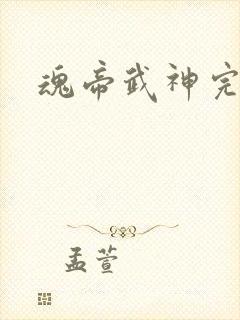 魂帝武神完结版
