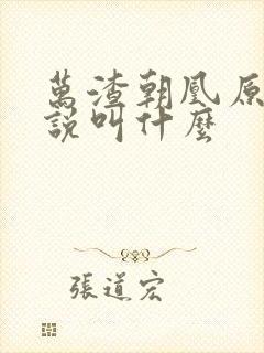 万渣朝凰原著小说叫什么