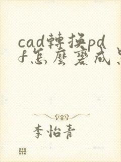 cad转换pdf怎么变成黑白