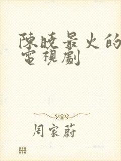 陈晓最火的十部电视剧
