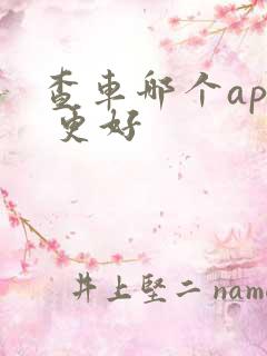 查车哪个app 更好