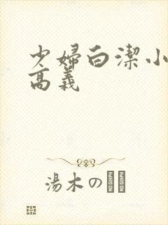 少妇白洁小说 高义