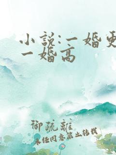 小说:一婚更比一婚高