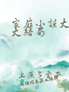 家庭小说大杂烩大结局