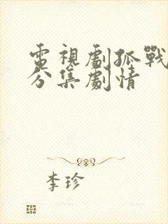 电视剧孤战迷城分集剧情