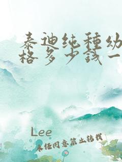 泰迪纯种幼犬价格多少钱一只