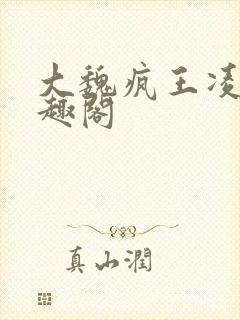 大魏疯王凌宁笔趣阁