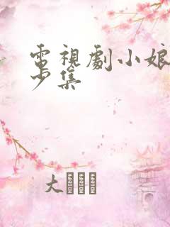 电视剧小娘惹多少集