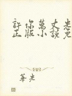 许你万丈光芒好正版小说免费阅读