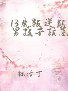 13岁叛逆期的男孩子该怎样去沟通教育