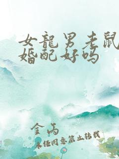 女龙男老鼠属相婚配好吗