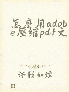 怎么用adobe压缩pdf文件大小