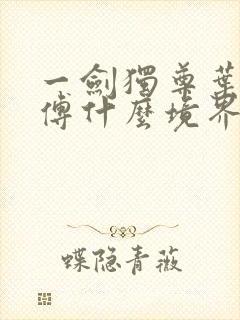 一剑独尊叶玄师傅什么境界