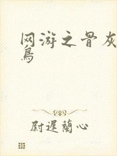 网游之骨灰级菜鸟