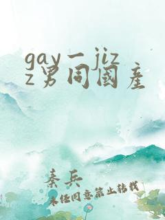 gay一jizz男同国产