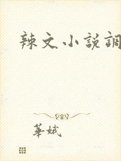 辣文小说调教