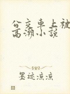公交车上被插到高潮小说