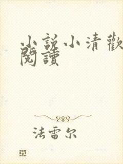 小说小清欢免费阅读