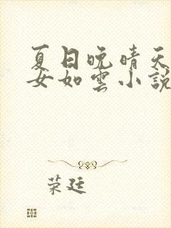 夏日晚晴天之美女如云小说
