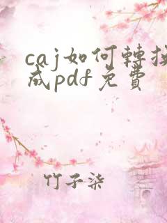 caj如何转换成pdf免费