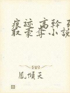痕迹 高干 强取豪夺小说