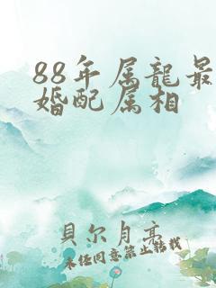 88年属龙最佳婚配属相