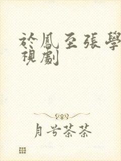 于凤至张学良电视剧