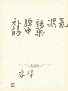 补脾祛湿气最好的中药