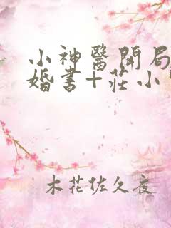 小神医开局九张婚书+庄小贤