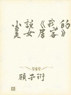 小说《我的绝色美女房客》