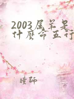 2003属羊是什么命五行属什么的