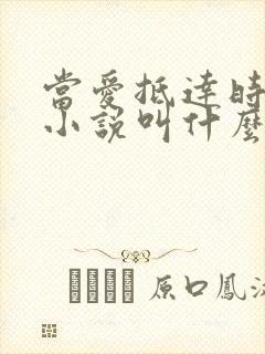 当爱抵达时原著小说叫什么