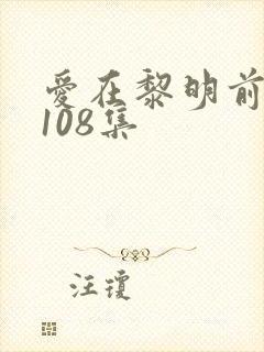 爱在黎明前降落108集