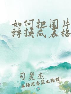如何把图片文字转换成表格